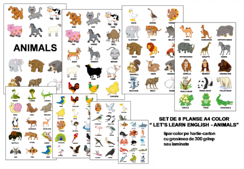 planse-english-animals
